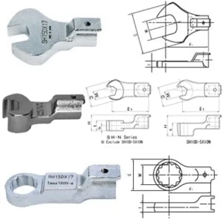 Interchangeable Head 1